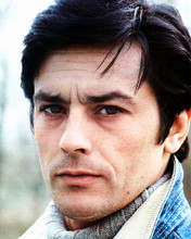 This is an image of 219492 Alain Delon Photograph & Poster