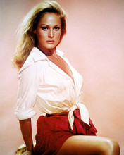 This is an image of 220439 Ursula Andress Photograph & Poster
