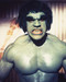 This is an image of 220588 The Incredible Hulk Photograph & Poster
