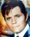 This is an image of 220643 Jack Lord Photograph & Poster