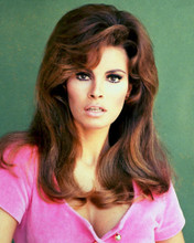 This is an image of 220790 Raquel Welch Photograph & Poster