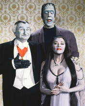 This is an image of 221722 The Munsters Photograph & Poster