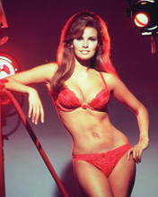 This is an image of 221836 Raquel Welch Photograph & Poster