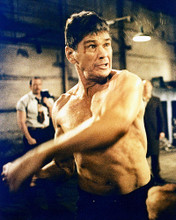 This is an image of 223068 Charles Bronson Photograph & Poster