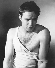 This is an image of 168140 Marlon Brando Photograph & Poster