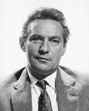 This is an image of 169572 Peter Finch Photograph & Poster