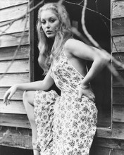 This is an image of 169706 Jenny Hanley Photograph & Poster