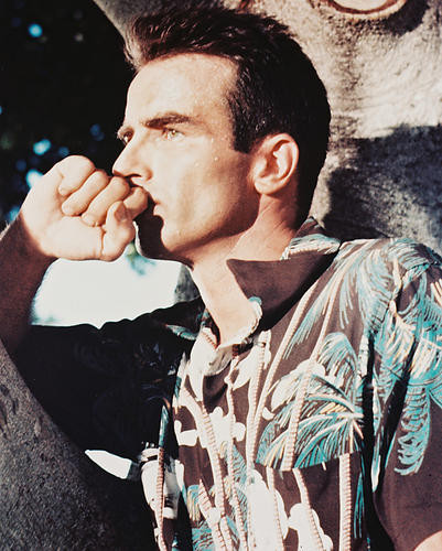 This is an image of 210198 Montgomery Clift Photograph & Poster