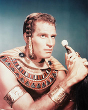 This is an image of 210243 Charlton Heston Photograph & Poster