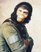 This is an image of 211694 Planet of the Apes Photograph & Poster