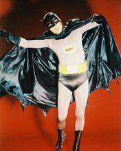 This is an image of 212025 Batman Photograph & Poster