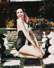 This is an image of 212507 Ann Miller Photograph & Poster