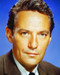 This is an image of 226598 Peter Finch Photograph & Poster