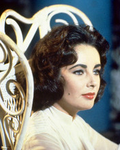 This is an image of 226823 Elizabeth Taylor Photograph & Poster