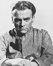 This is an image of 171140 James Cagney Photograph & Poster