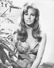 This is an image of 171155 Raquel Welch Photograph & Poster