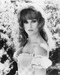 This is an image of 171218 Ann-Margret Photograph & Poster