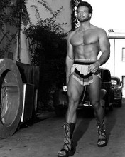 This is an image of 171335 Steve Reeves Photograph & Poster