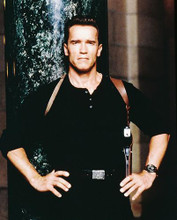 This is an image of 220727 Arnold Schwarzenegger Photograph & Poster