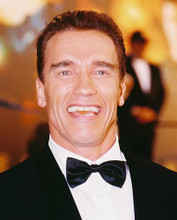 This is an image of 222741 Arnold Schwarzenegger Photograph & Poster