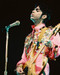 This is an image of 222803 Prince Photograph & Poster