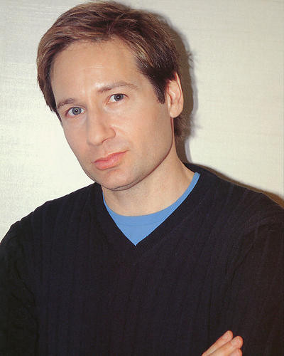 This is an image of 248633 David Duchovny Photograph & Poster