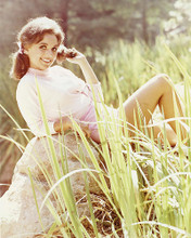 This is an image of 248640 Dawn Wells Photograph & Poster
