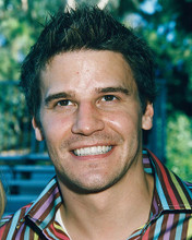 This is an image of 249007 David Boreanaz Photograph & Poster