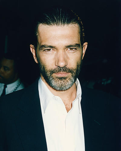 This is an image of 249015 Antonio Banderas Photograph & Poster