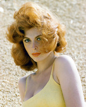 This is an image of 249870 Tina Louise Photograph & Poster