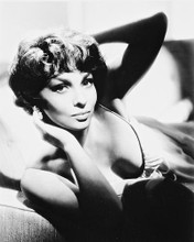 This is an image of 167751 Gina Lollobrigida Photograph & Poster