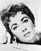 This is an image of 167779 Elizabeth Taylor Photograph & Poster