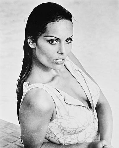 This is an image of 167847 Daliah Lavi Photograph & Poster