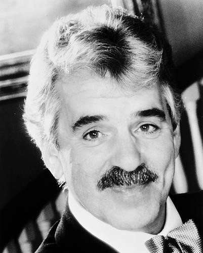 This is an image of 167980 Dennis Farina Photograph & Poster
