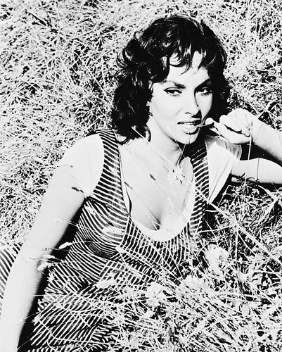 This is an image of 168083 Gina Lollobrigida Photograph & Poster