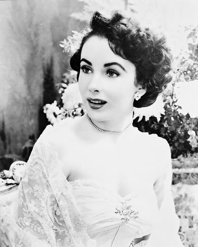 This is an image of 168236 Elizabeth Taylor Photograph & Poster