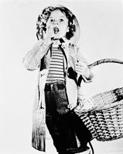 This is an image of 168238 Shirley Temple Photograph & Poster