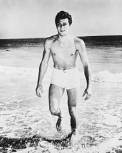 This is an image of 168278 Tony Curtis Photograph & Poster