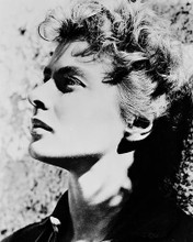 This is an image of 168405 Ingrid Bergman Photograph & Poster