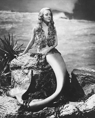 This is an image of 171925 Glynis Johns Photograph & Poster