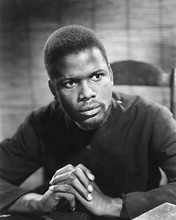 This is an image of 172106 Sidney Poitier Photograph & Poster