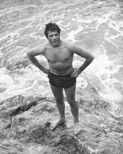 This is an image of 172113 Oliver Reed Photograph & Poster