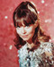 This is an image of 232736 Barbara Feldon Photograph & Poster