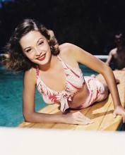 This is an image of 234374 Jane Greer Photograph & Poster