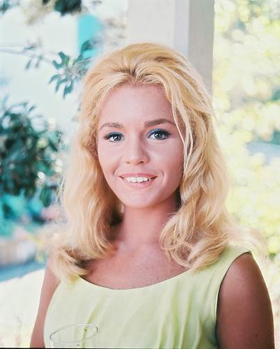 This is an image of 235226 Tuesday Weld Photograph & Poster