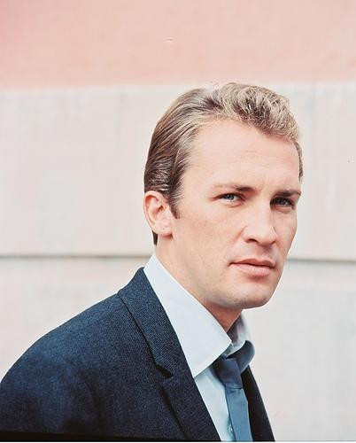 This is an image of 235680 Roy Thinnes Photograph & Poster