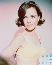 This is an image of 235896 Shelley Fabares Photograph & Poster