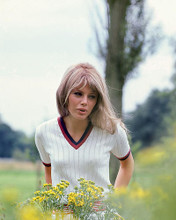 This is an image of 254033 Britt Ekland Photograph & Poster