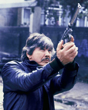 This is an image of 254299 Charles Bronson Photograph & Poster