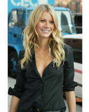This is an image of 254615 Gwyneth Paltrow Photograph & Poster